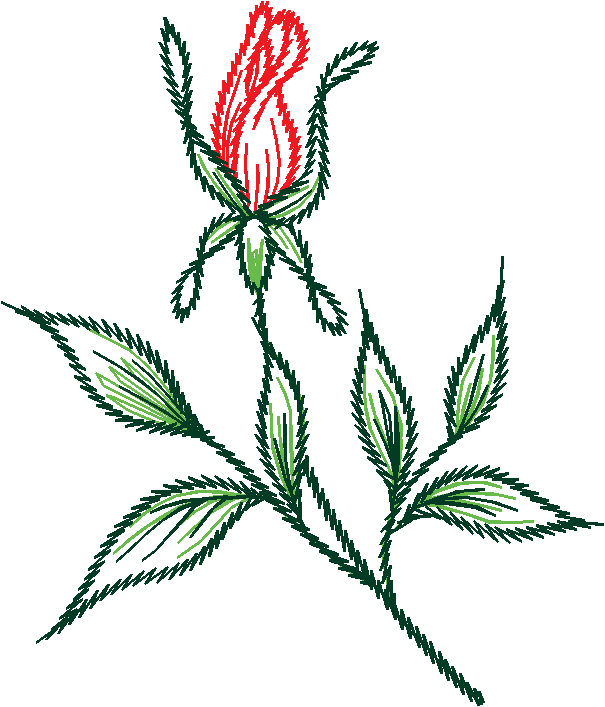 Floral 90  (23)