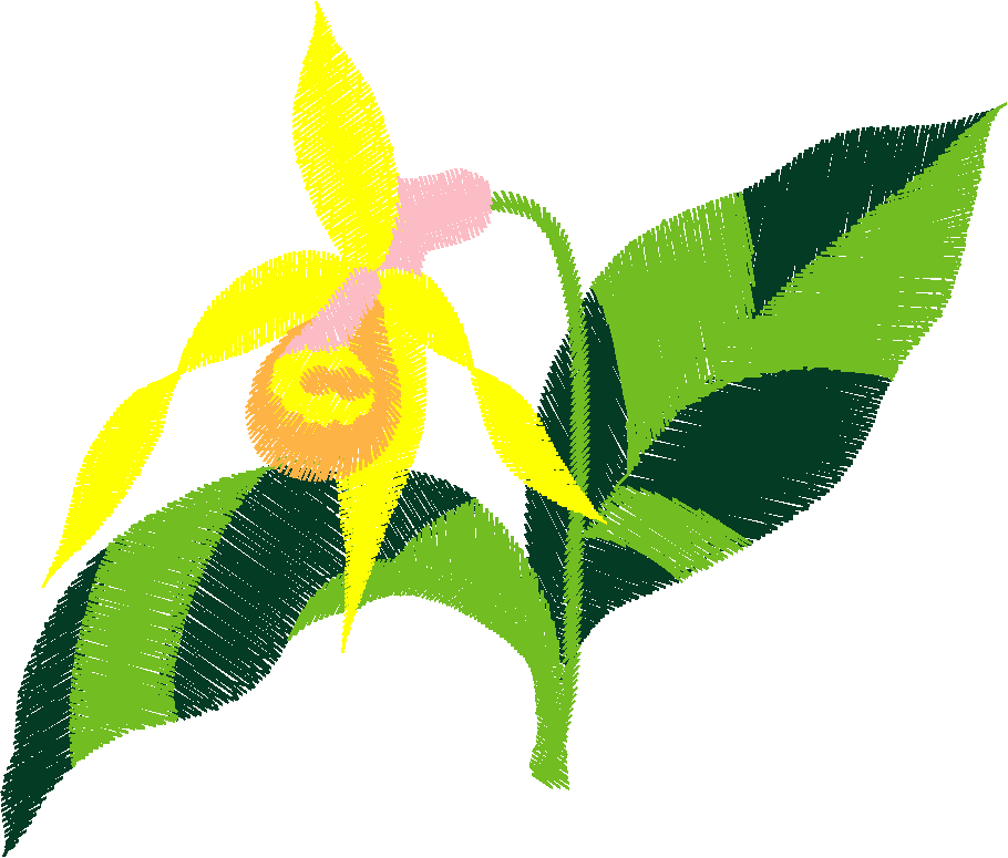 Floral 90  (4)