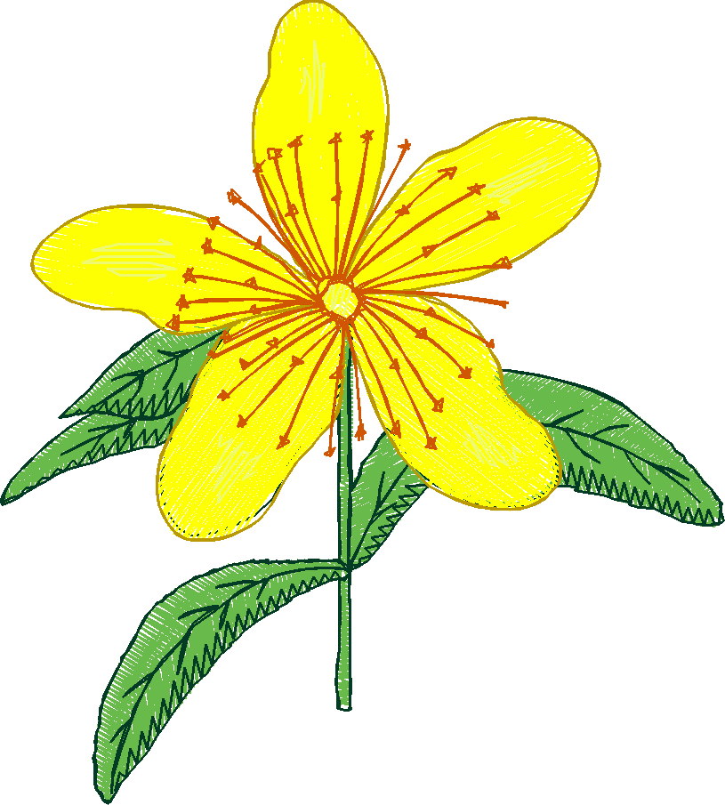 Floral 95  (13)