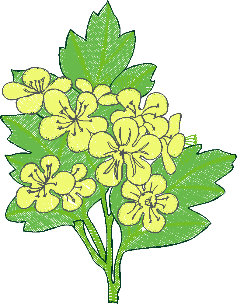 Floral 95  (15)