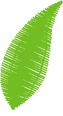 Floral Elements 1  (22)