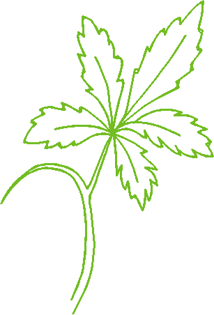 Floral Elements 1  (35)