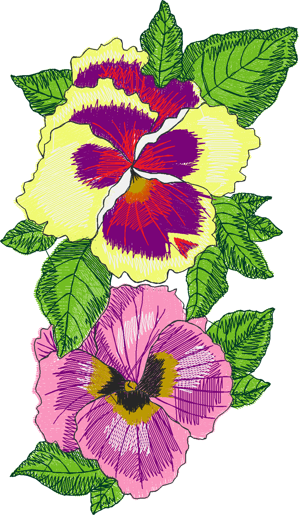 Floral Pansies Collection