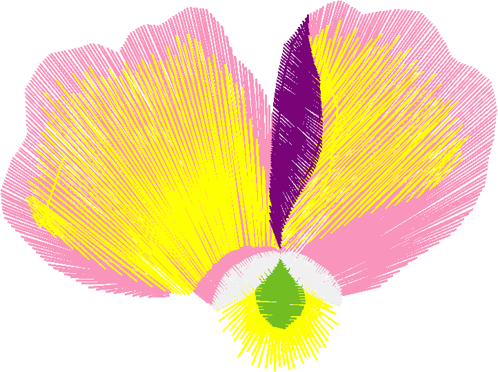 Floral Pansies 2  (12)