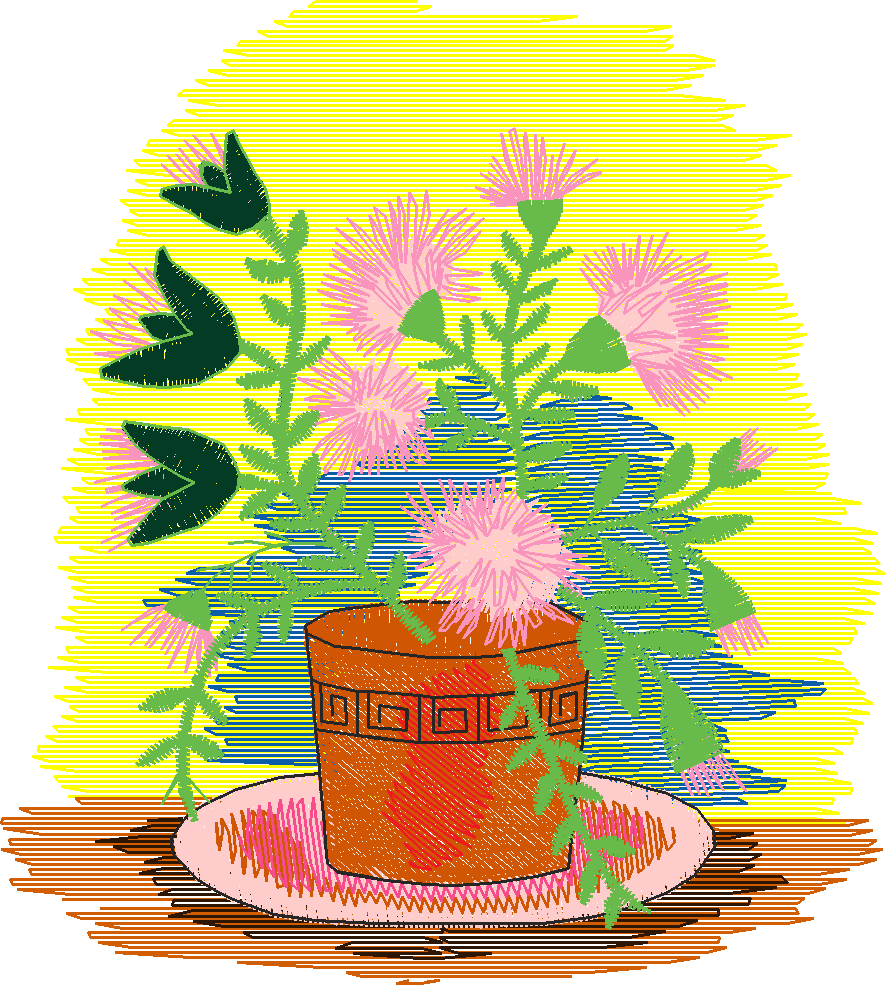 Floral Pottery