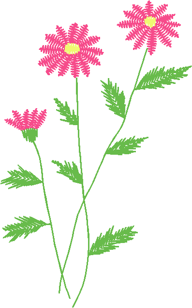 Floral & Frames 1 (4)