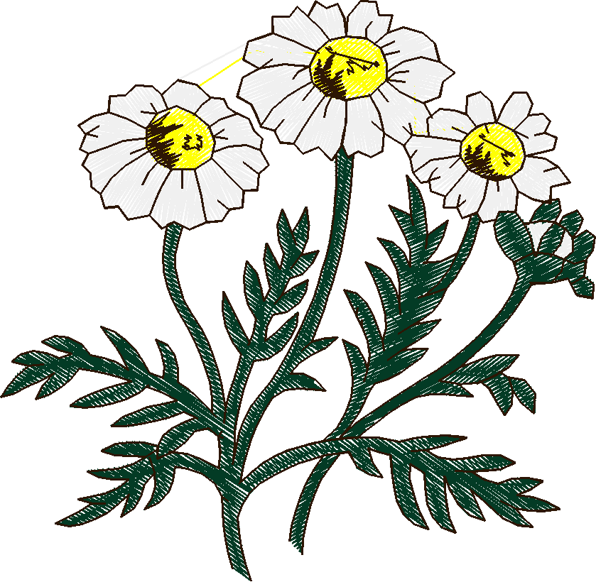 Floral & Fruits 1 (12)