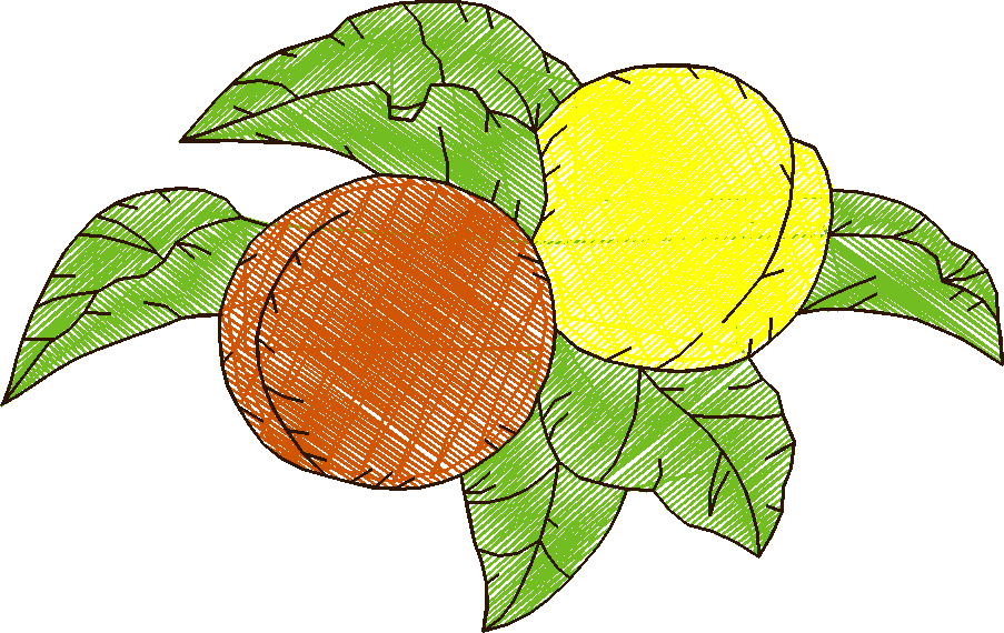 Floral & Fruits 1 (18)