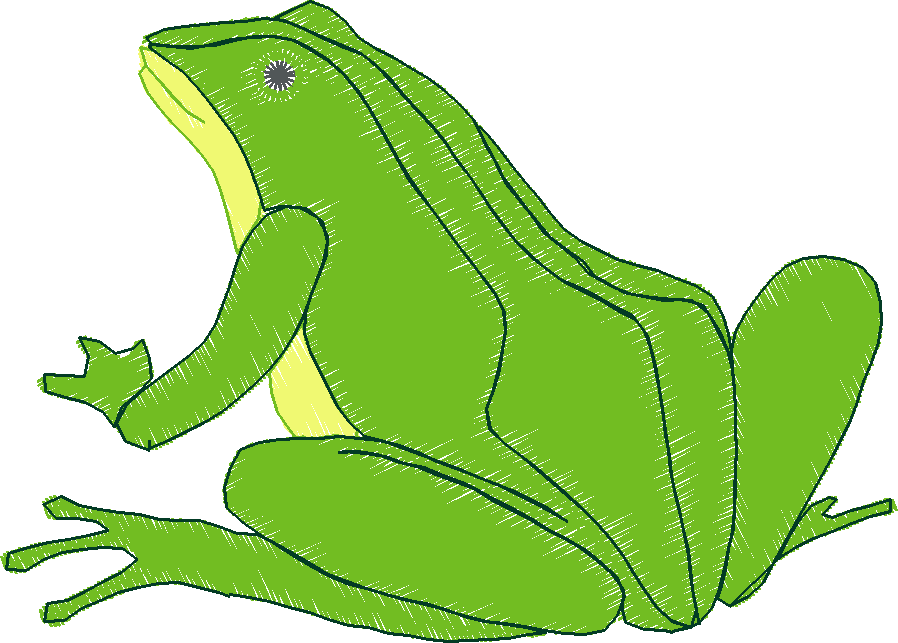 Animal frog02