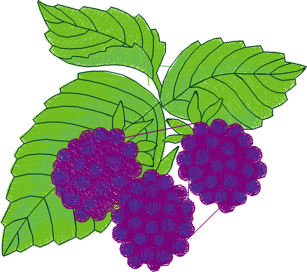 Fruit Collection