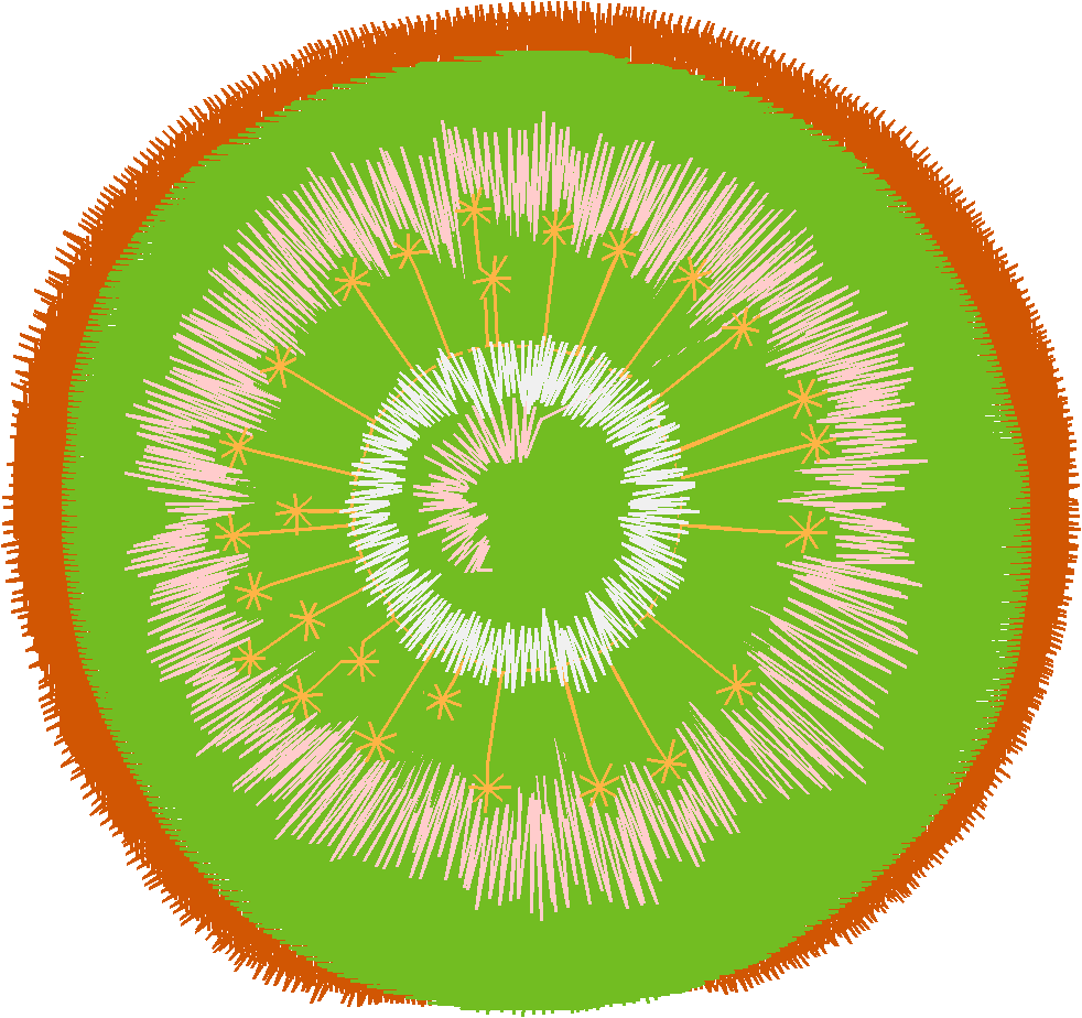 Fruit 1  (12)
