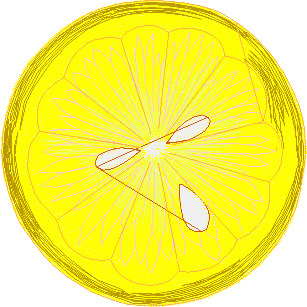 Fruit 1  (13)