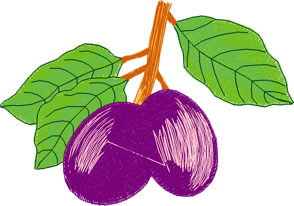 Fruit 1  (18)