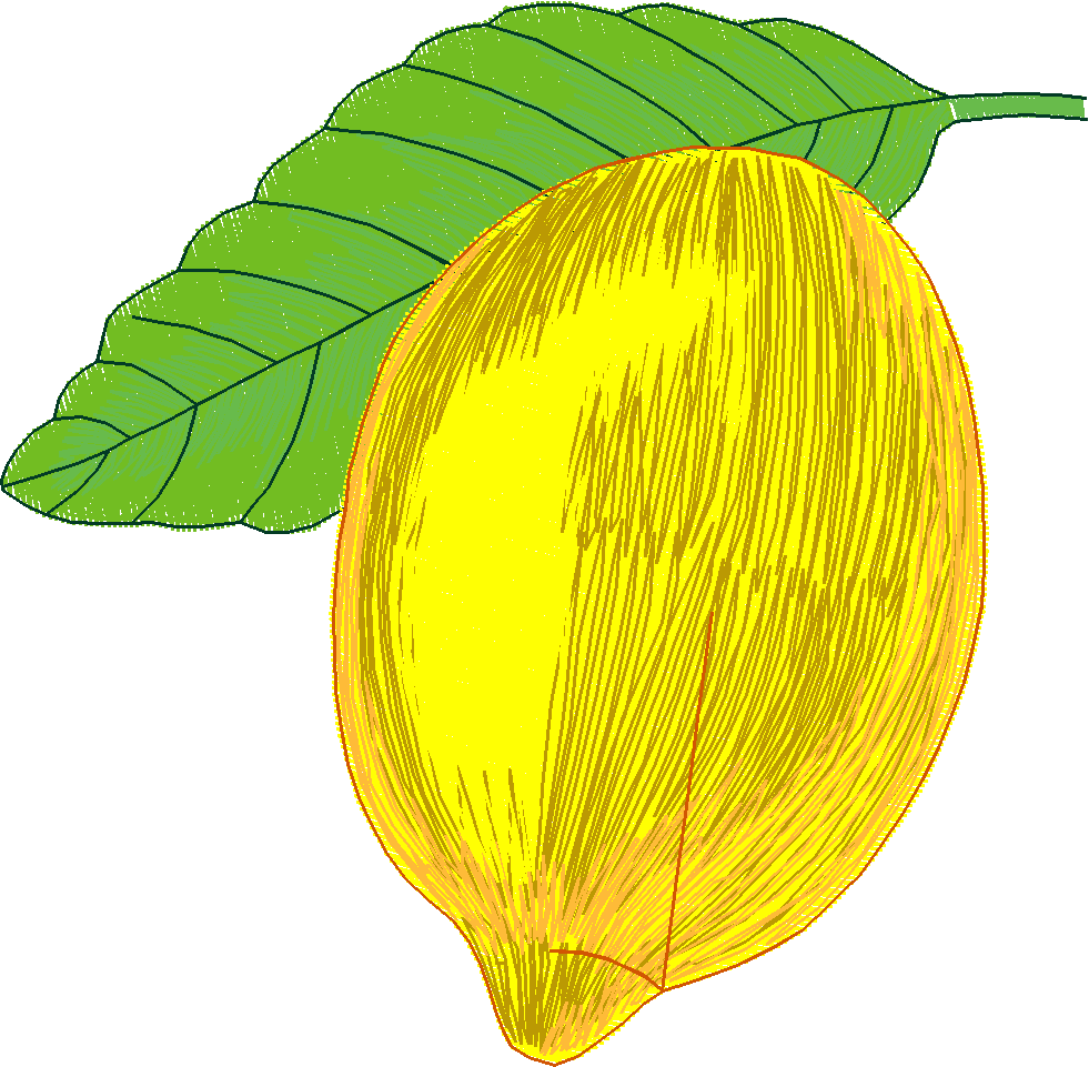 Fruit 1  (2)