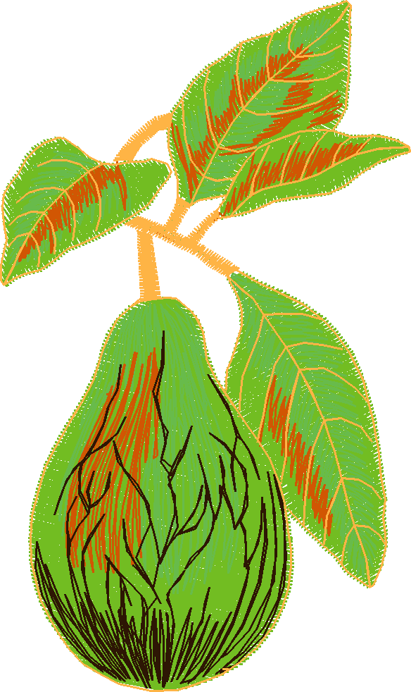 Fruit 1  (5)