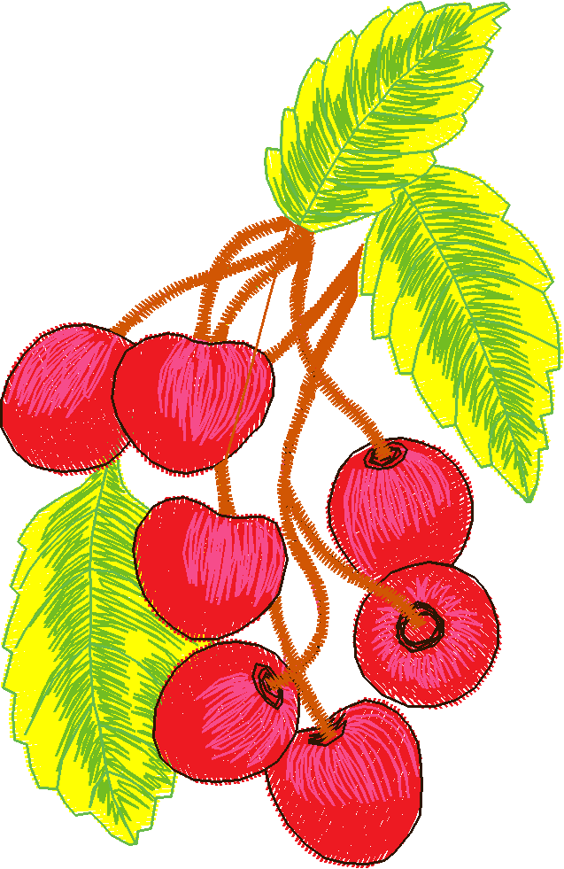 Fruit 1  (8)