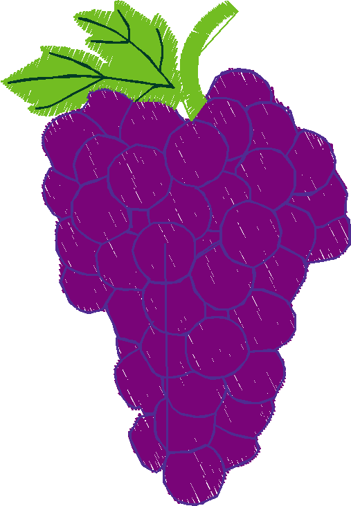Fruit 10  (9)