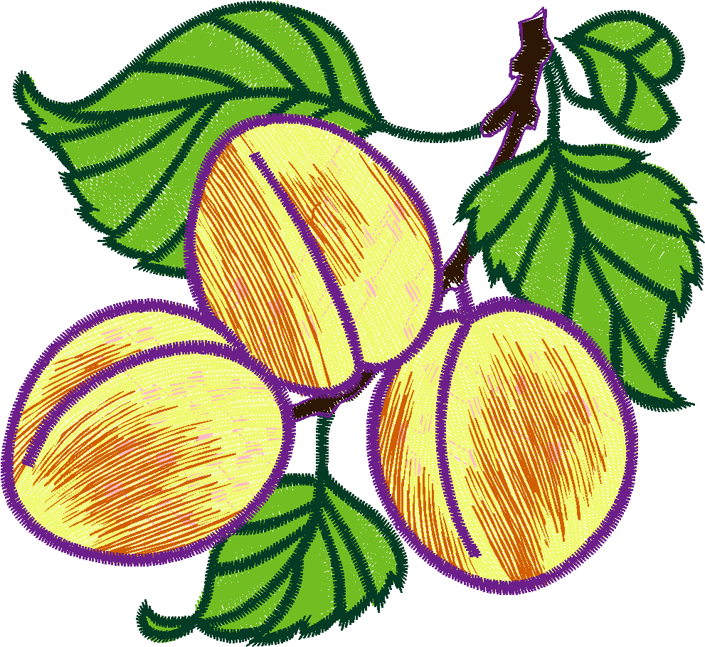 Fruit 2  (7)