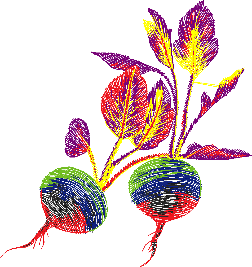 Fruit 3  (1)