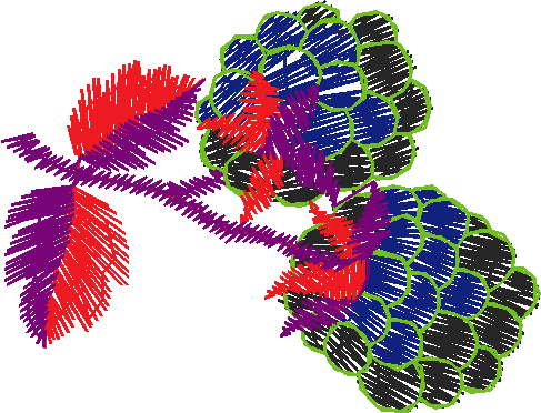 Fruit 3  (12)