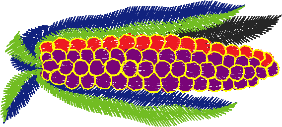 Fruit 3  (13)