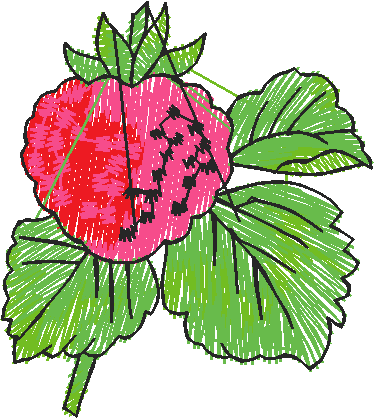 Fruit 6  (12)