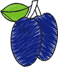 Fruit 6  (3)