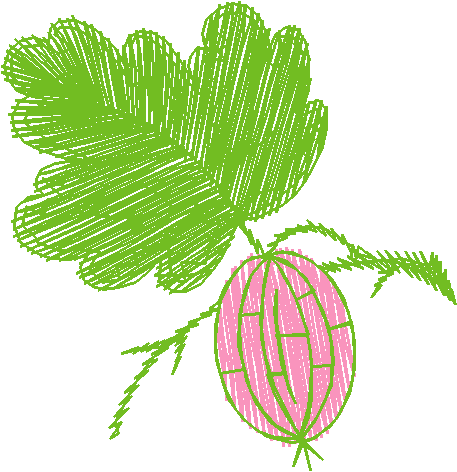 Fruit 7  (16)