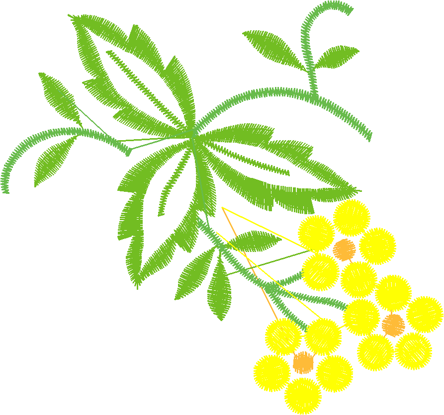 Fruit 7  (26)