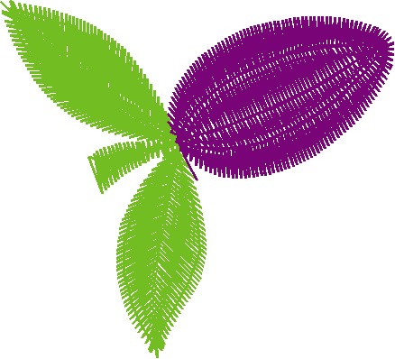 Fruit 7  (4)