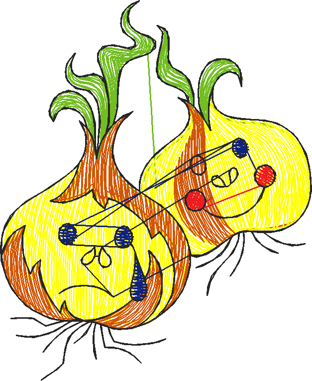 Fruit 7  (9)