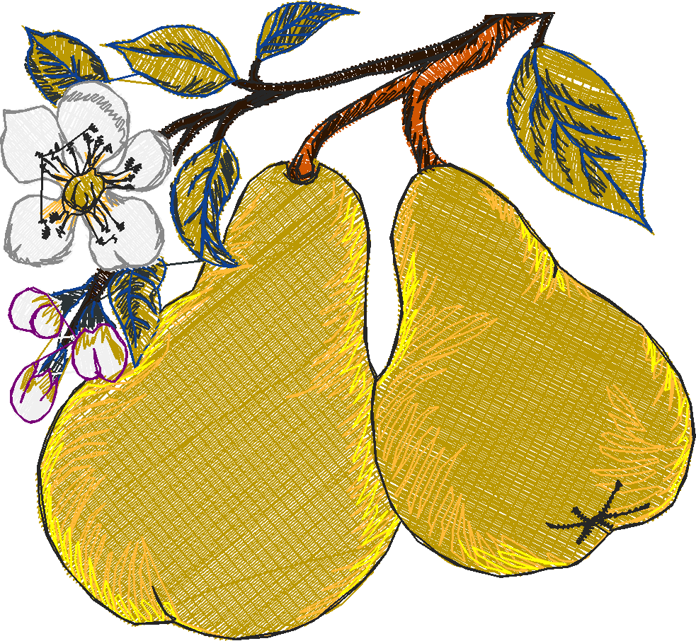 Fruit 8  (10)