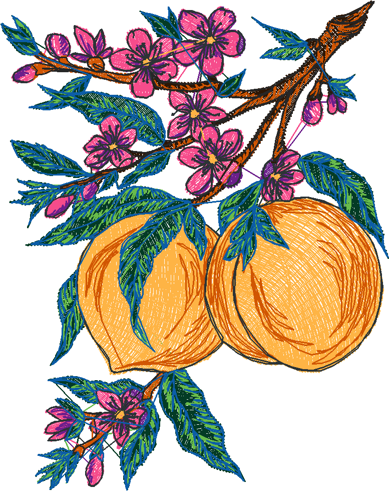 Fruit 8  (15)