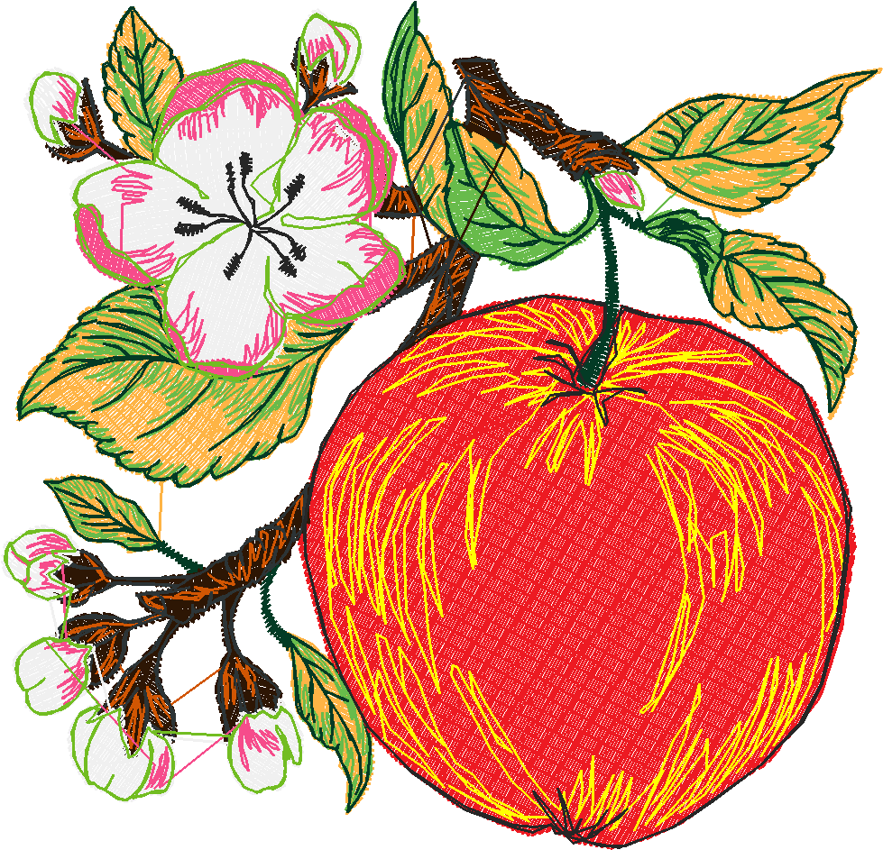 Fruit 8  (17)