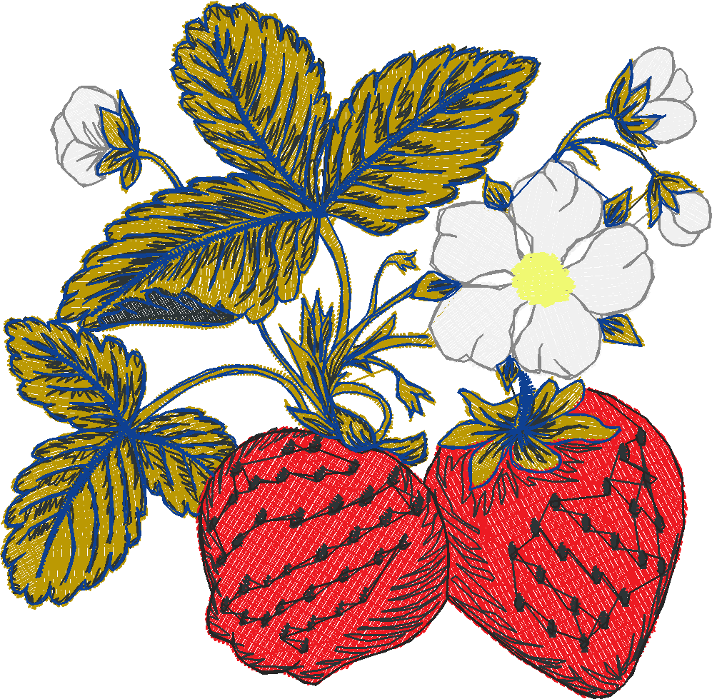 Fruit 8  (19)