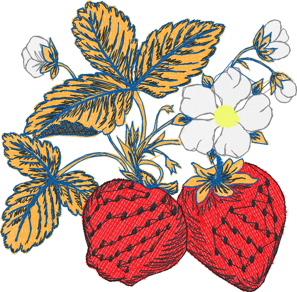 Fruit 8  (21)