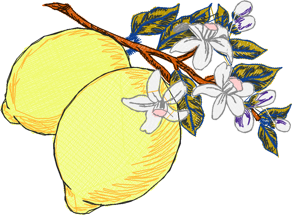 Fruit 8  (22)