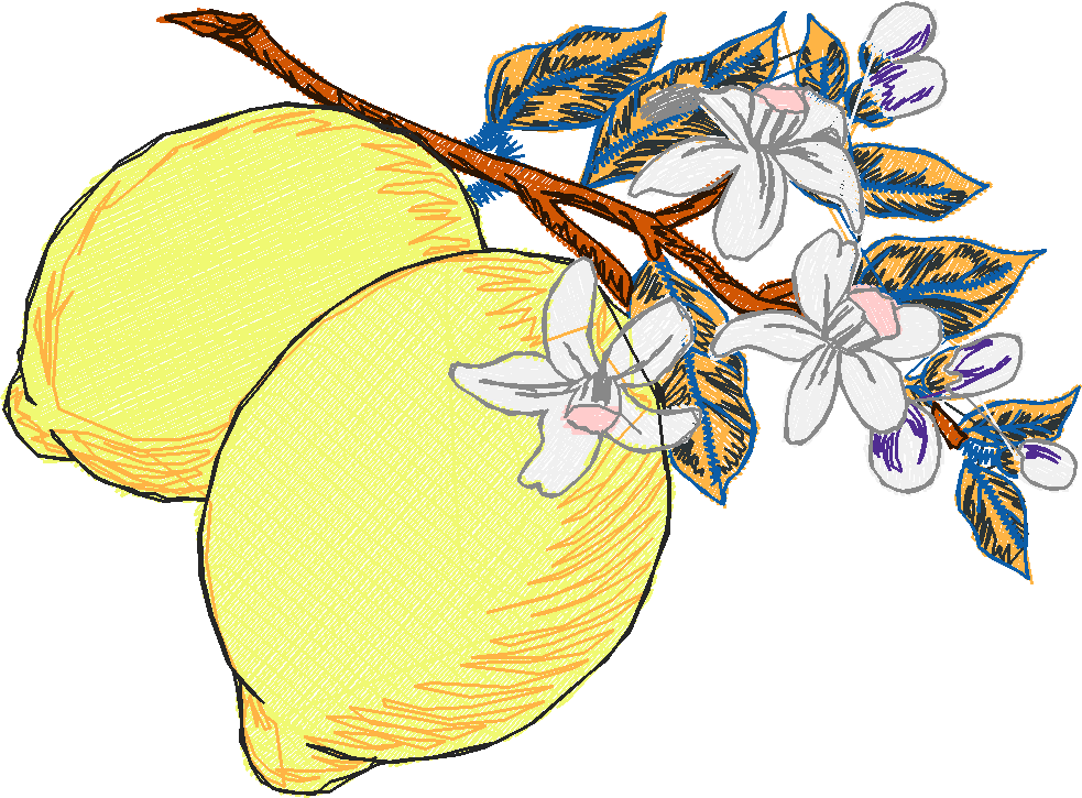 Fruit 8  (24)