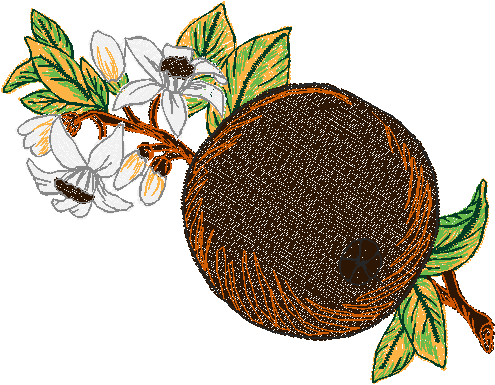 Fruit 8  (26)