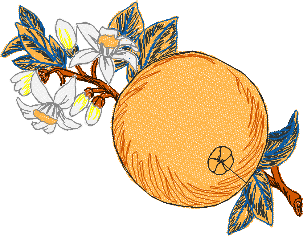 Fruit 8  (27)