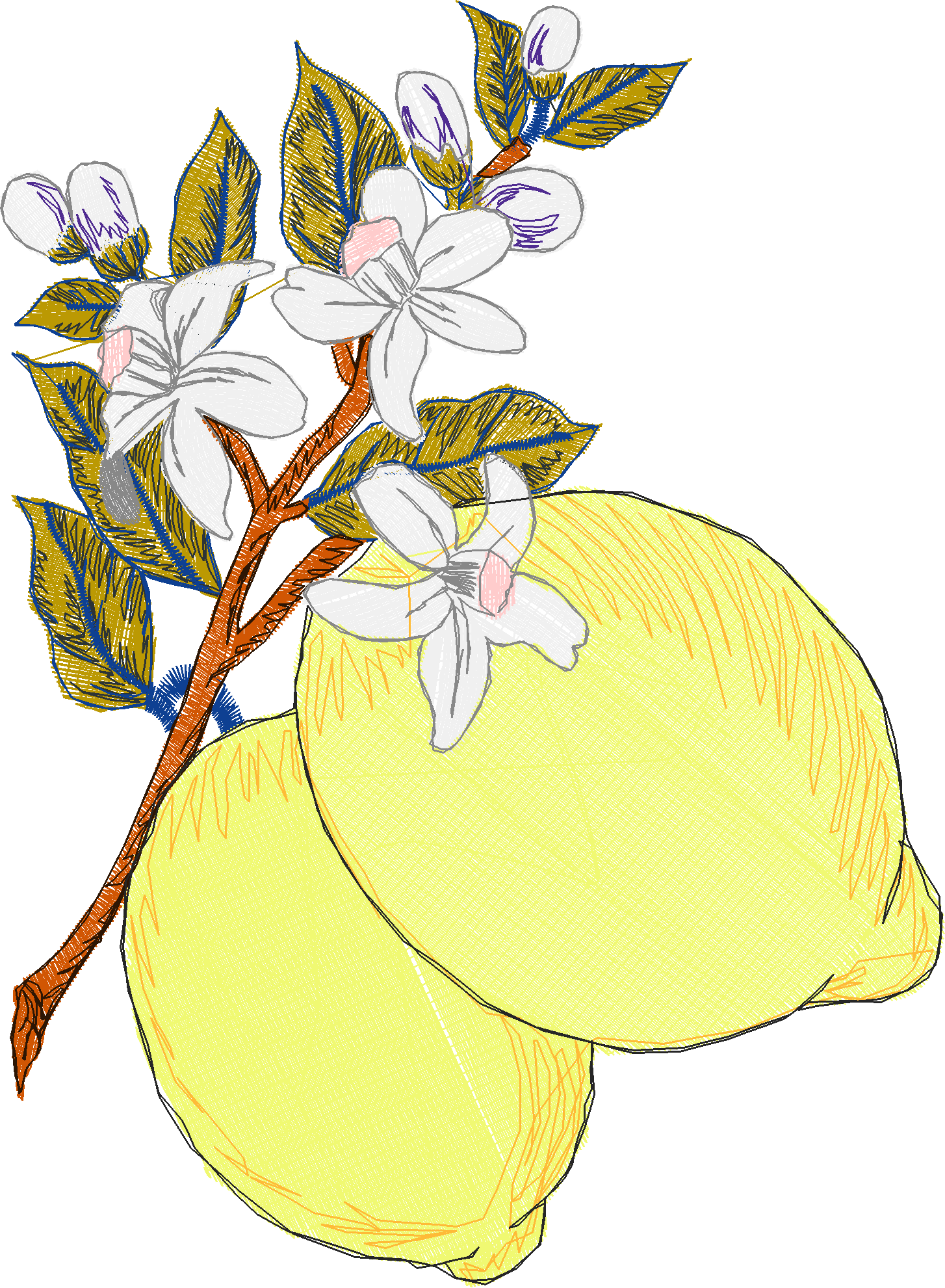 Fruit 8  (33)