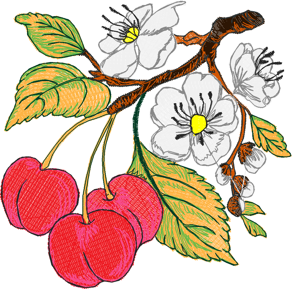 Fruit 8  (8)
