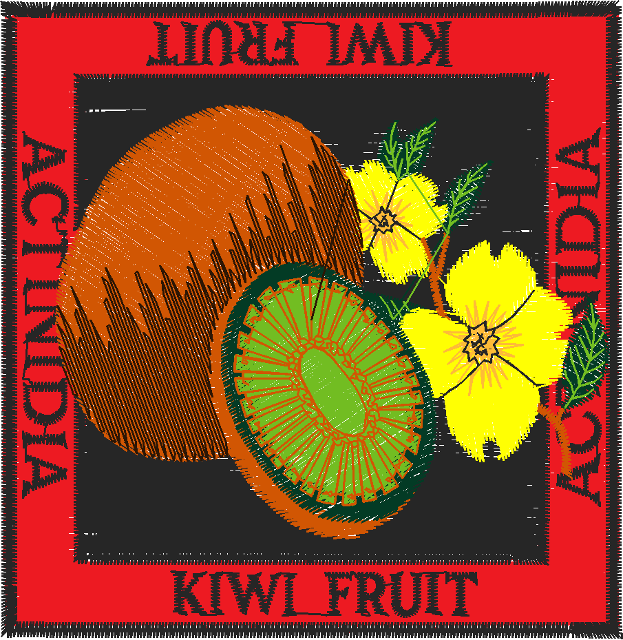 Fruit and Vegetables Collection