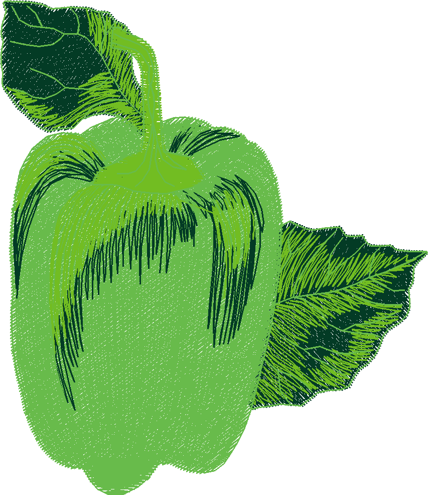 Fruit & Vegetables 11  (11)