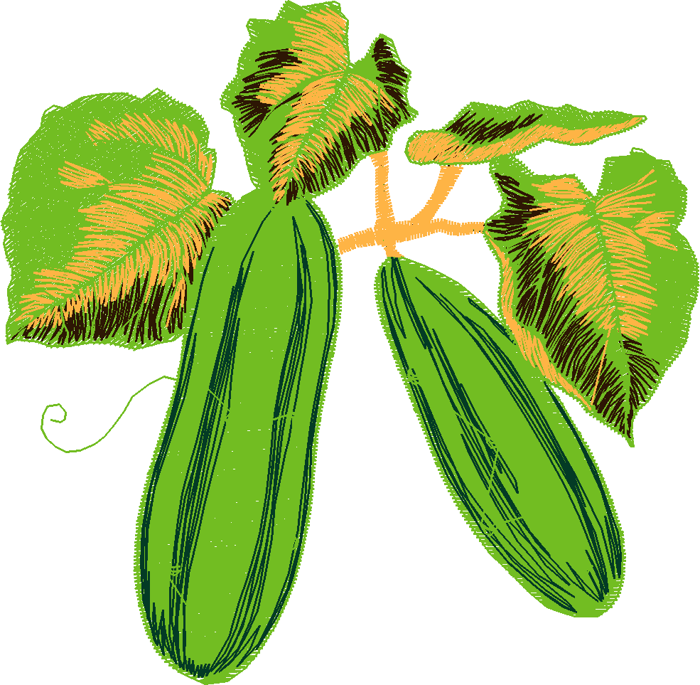 Fruit & Vegetables 11  (18)
