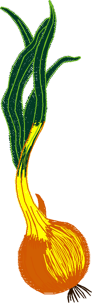 Fruit & Vegetables 11  (4)