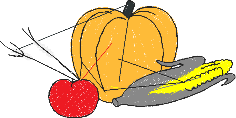 Fruit & Vegetables 13  (11)