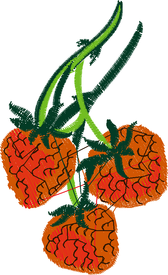 Fruit & Vegetables 15  (17)