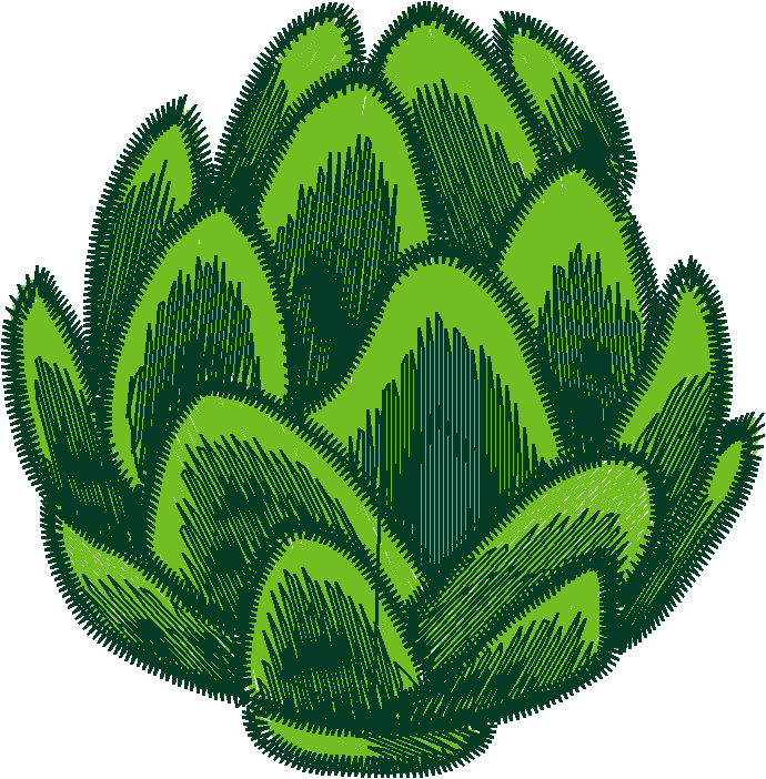 Fruit & Vegetables 15  (3)