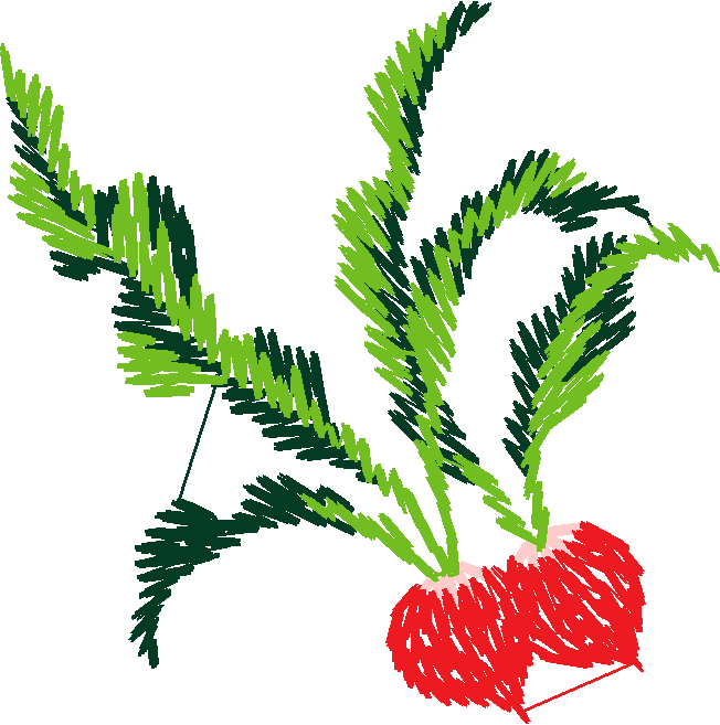 Fruit & Vegetables 16  (50)